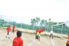 Volley Ball